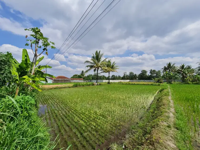 JUAL CEPAT SAWAH SHM 5500m2 LOKASI STRATEGIS