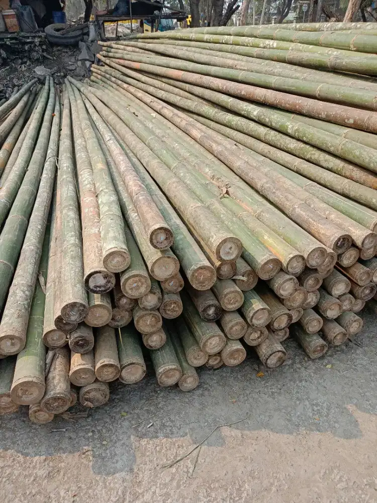 Jual bambu steger dan bambu jumbo