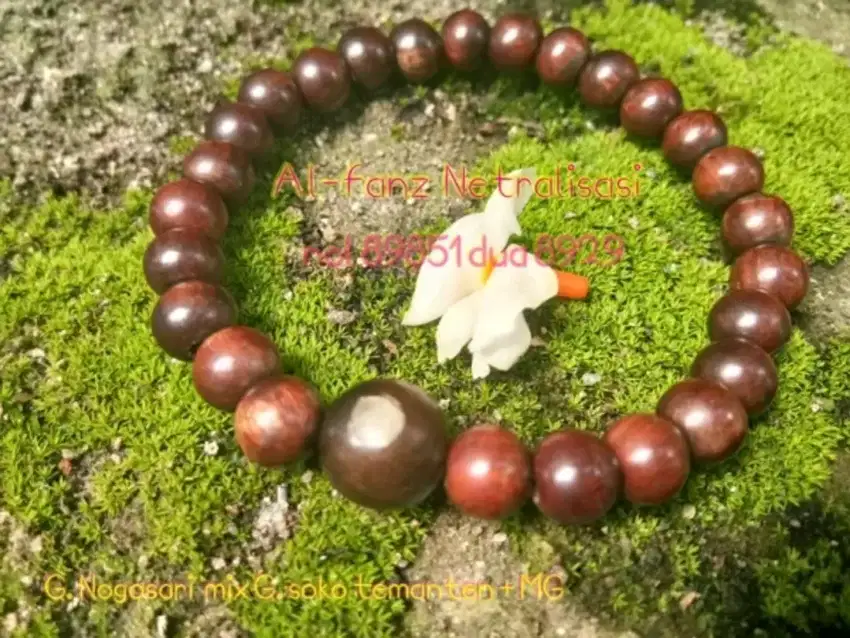 gelang galih nagasari galih Soko Temanten dan batu MG
