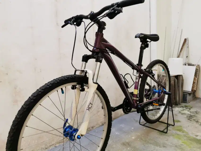 Polygon cleo full upgrade 8 speed