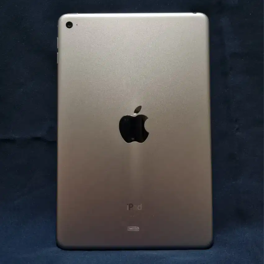 iPad Mini 4 Grey