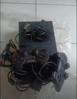 PS 2 normal mulus