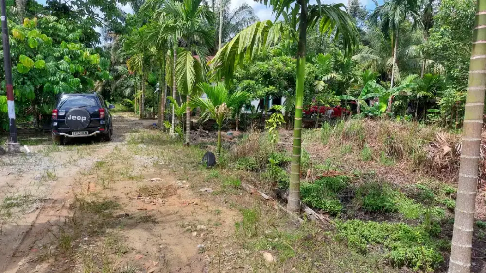 jual tanah dekat parit indah dalam