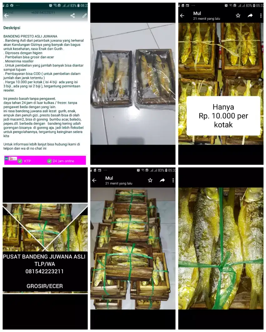 BANDENG PRESTO ASLI JUWANA