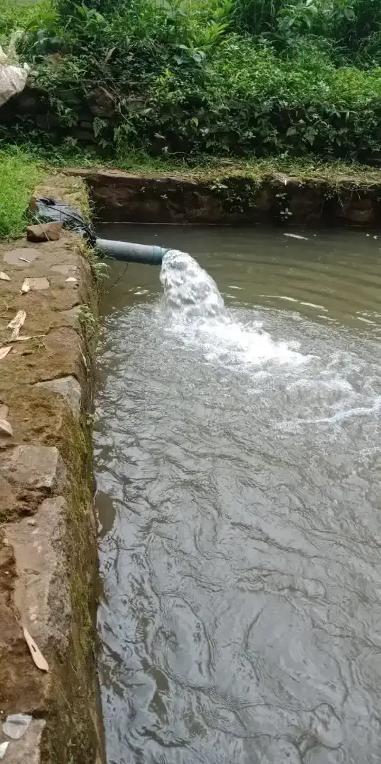 Dijual kolam ikan dan rumah panggung murah