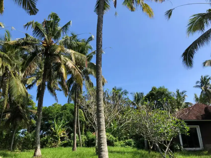 Tanah Luasan Kecil Dekat Pantai Surving Balian Beach