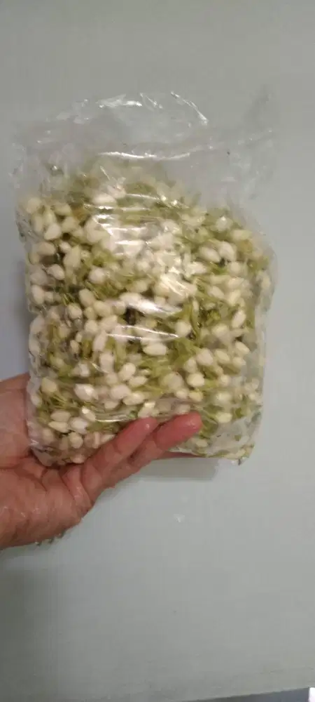 Melati Tabur Asli Bunga Melati Wangi Segar 200gr