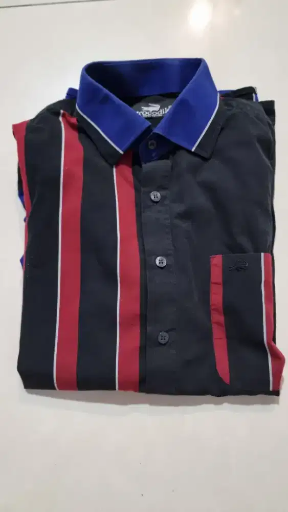 Kemeja pria Crocodille original