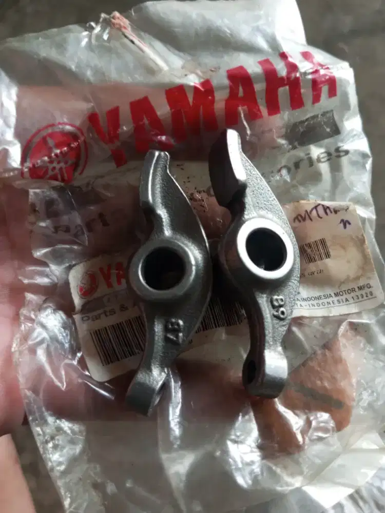 Pelatuk Jupiter burhan