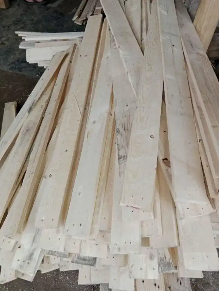 Kayu Jati Belanda dan Lokal