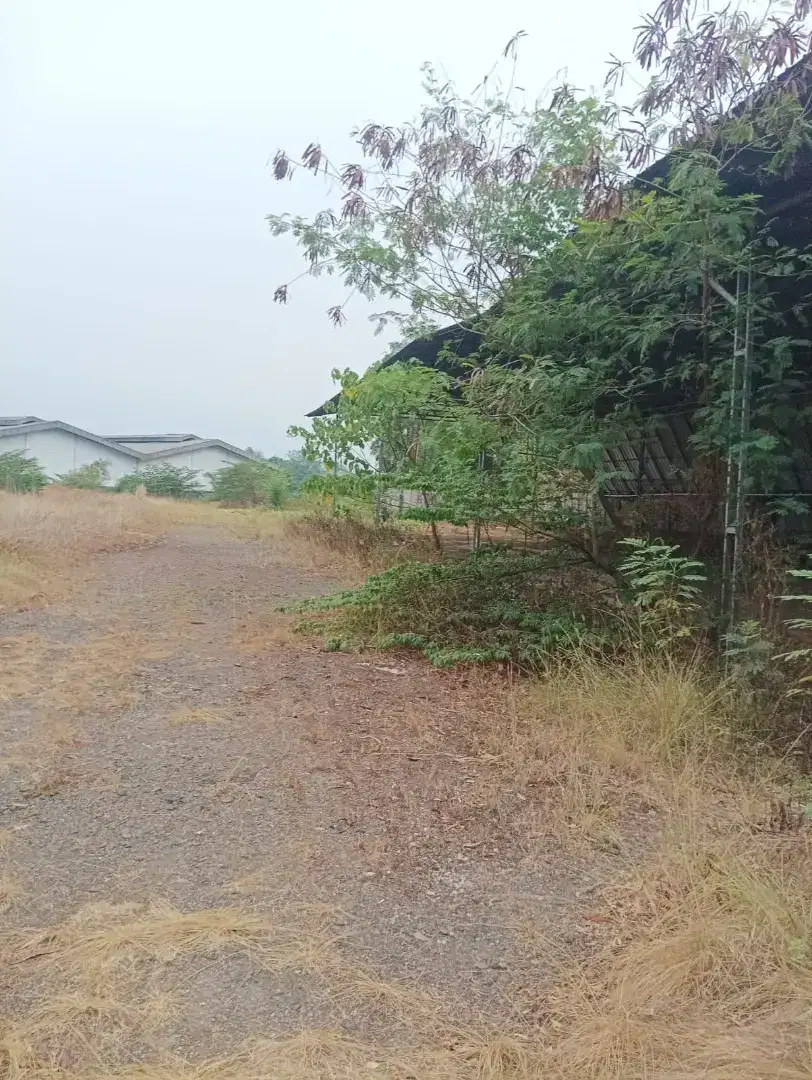 Sewa lahan kosong siap pakai tanah padat lokasi dekat Tol Jati Asih