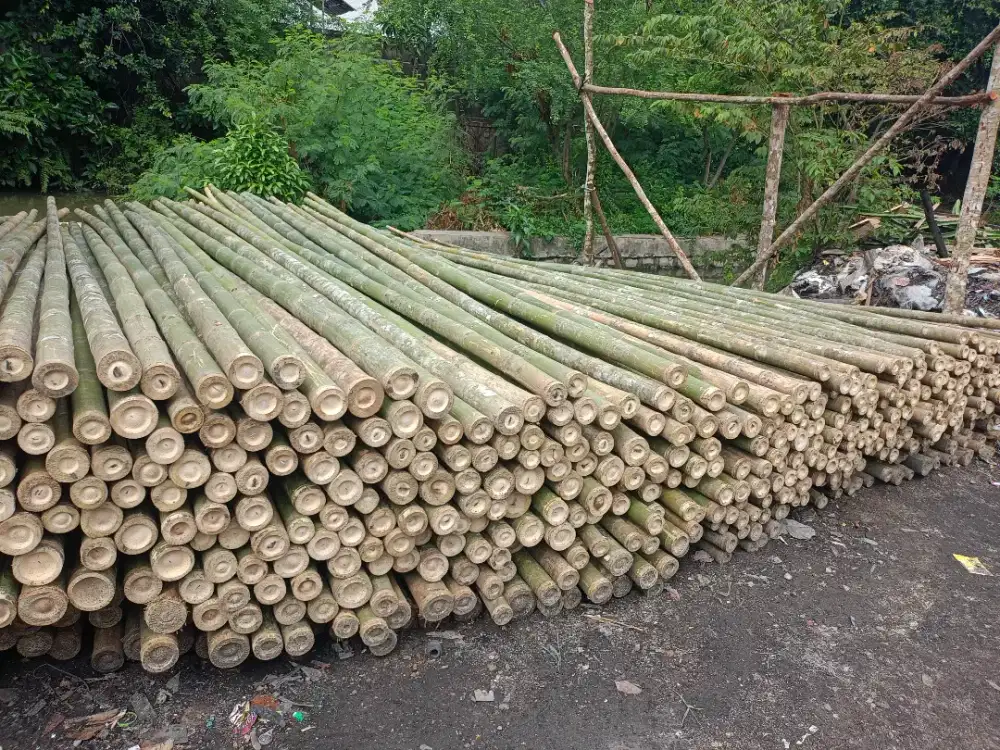 Jual bambu steger dan Dolken dll.