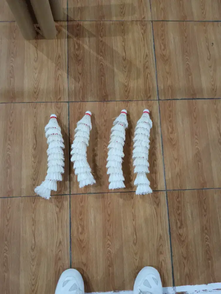 Jasa Pelatih Badminton untuk Pemula