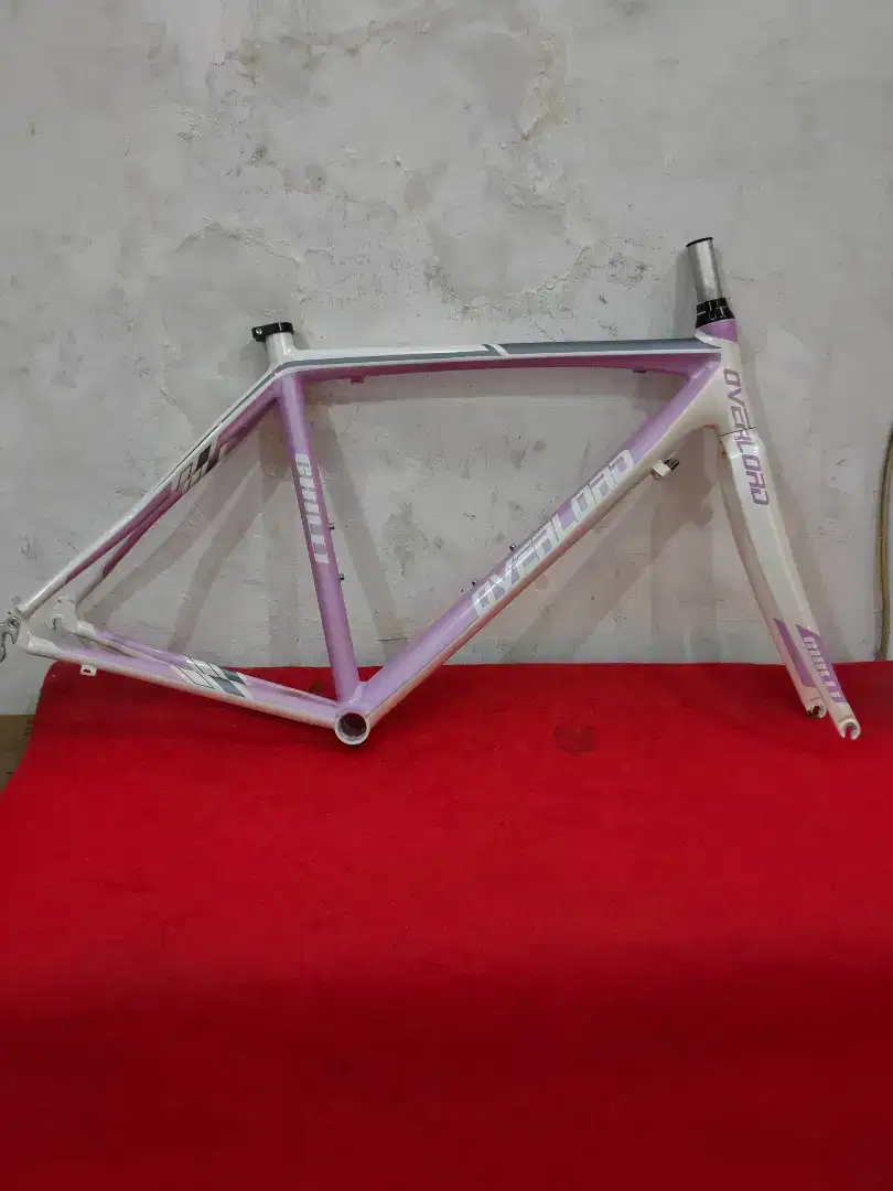 Frame and Fork Road Bike