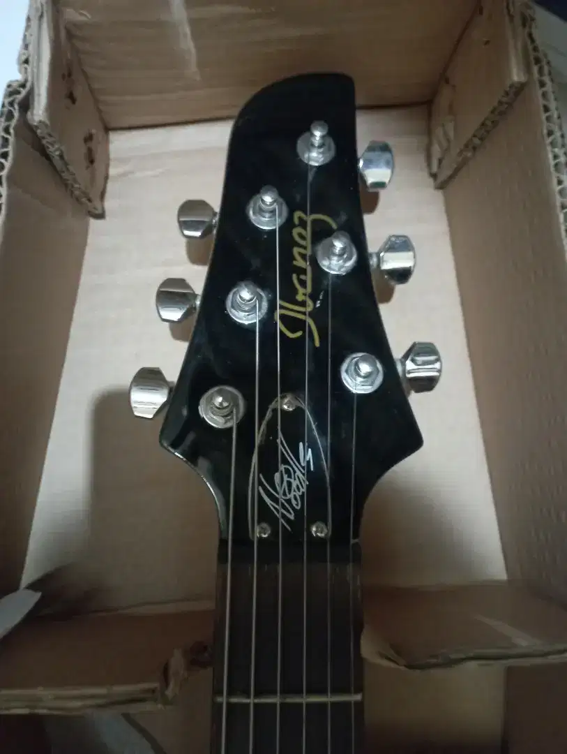 Ibanez ndm4 noodles signature