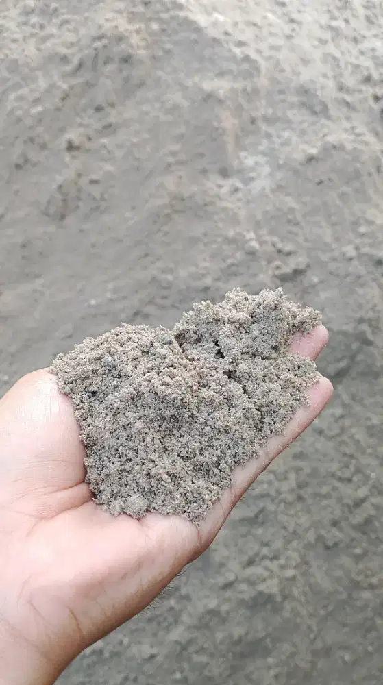 Pasir pasang cilegon ayak