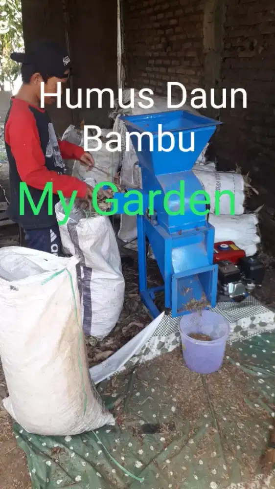 Media Tanam/humus daun bambu