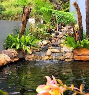 Natural pond / kolam natural