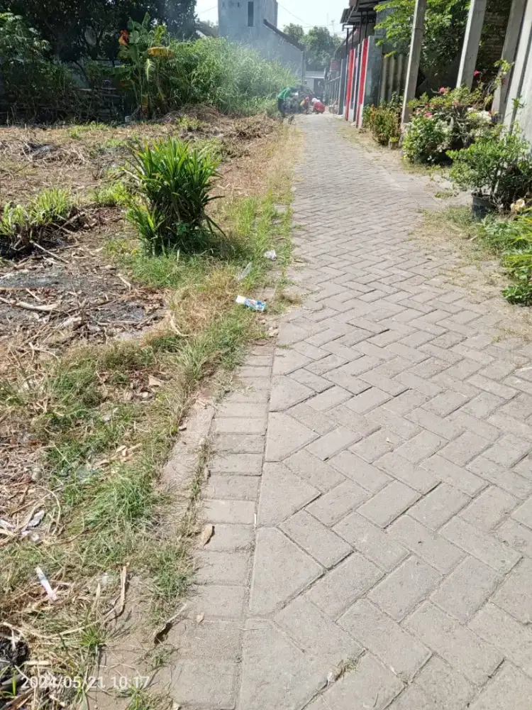 BU jual tanah, SHM, Luas 498m2, lokasi semen kab kediri.