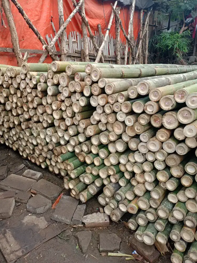 Jual bambu,kaso proyek