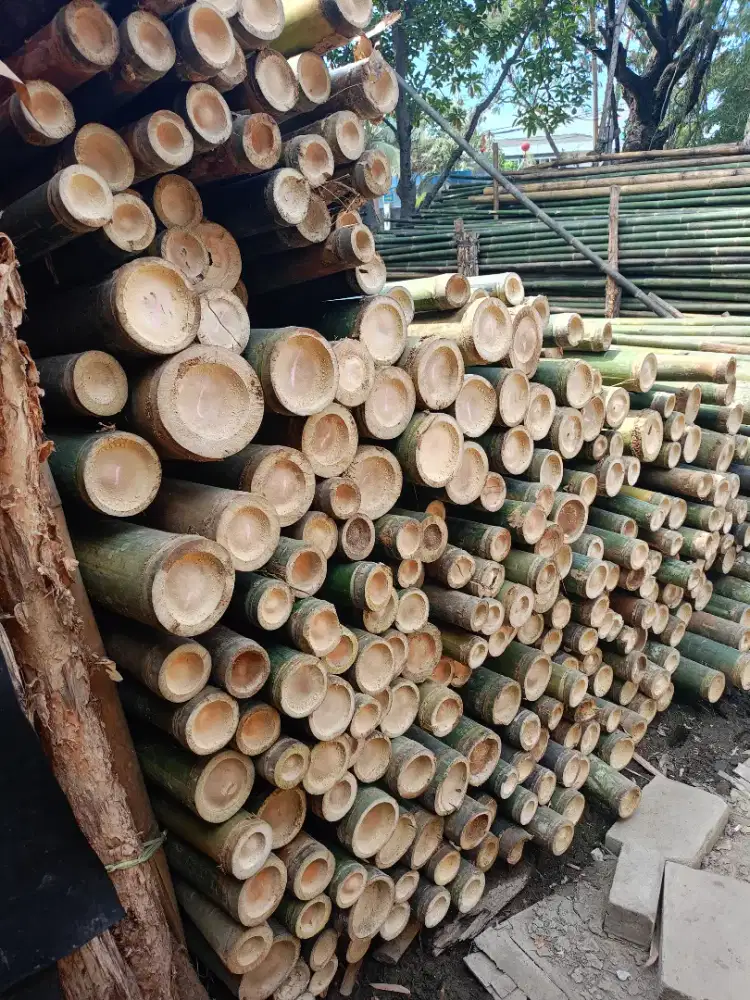 Jual bambu steger dll.