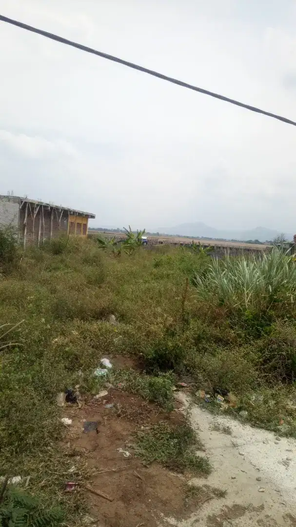 Di Jual Tanah milik pribadi