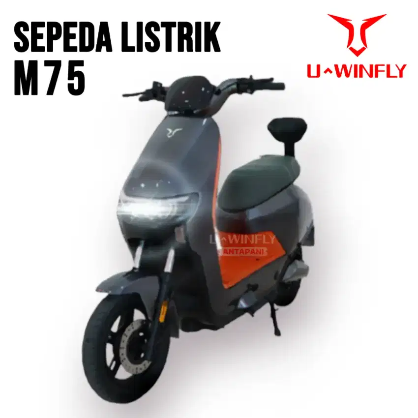 Sepeda listrik UWINFLY M75 Nfc tenaga 800 watt