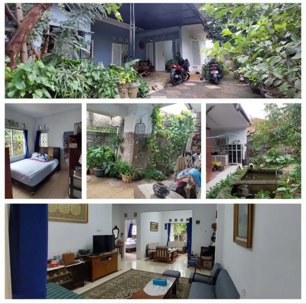 Jual Rumah Murah 366 m2 Asri di Depok