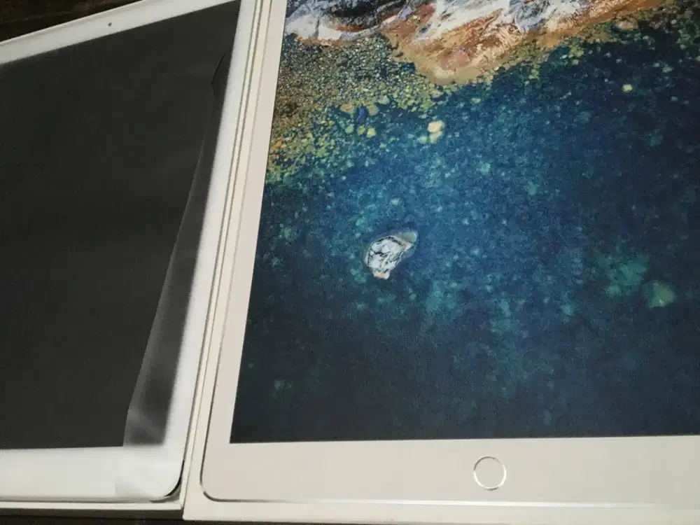WTS/ A1670 Apple iPad Pro 2nd Gen. 256GB, Wi-Fi, 12.9 in - Silver