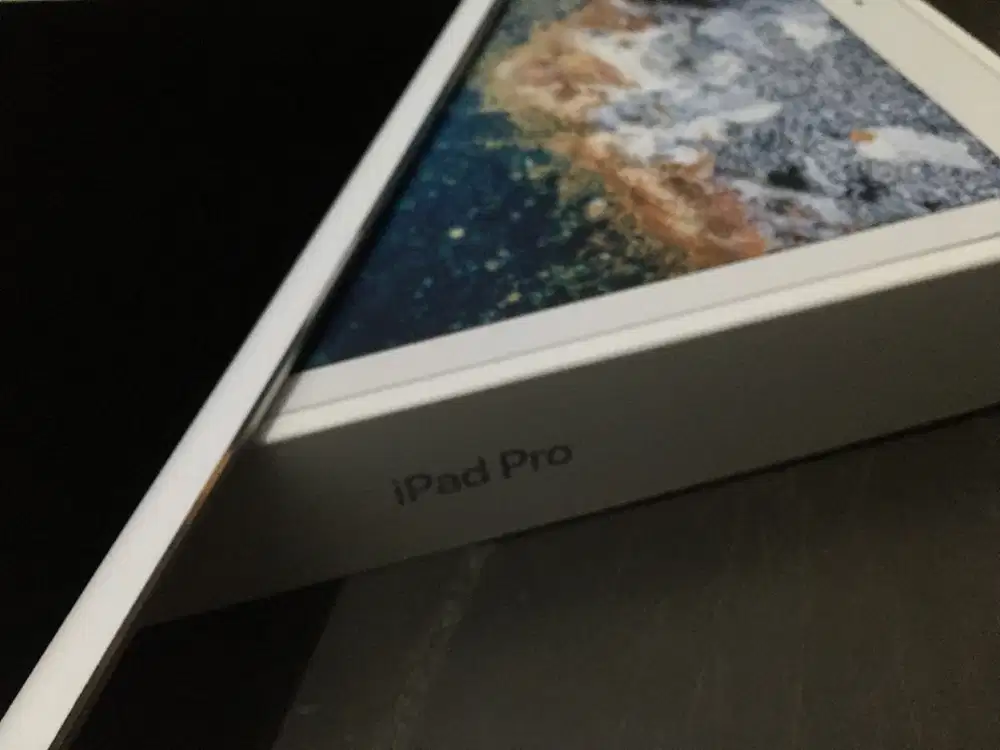 WTS/ A1670 Apple iPad Pro 2nd Gen. 256GB, Wi-Fi, 12.9 in - Silver