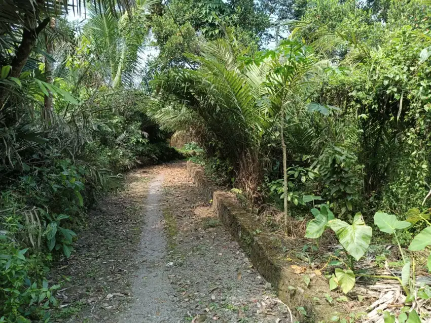 Tanah SHM pekarangan murah di merdikorejo tempel dekat SMP negeri 4