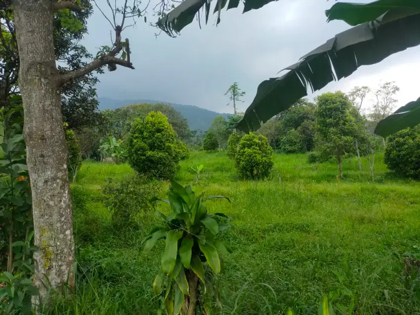 Tanah murah rata view lepas sangat strategis