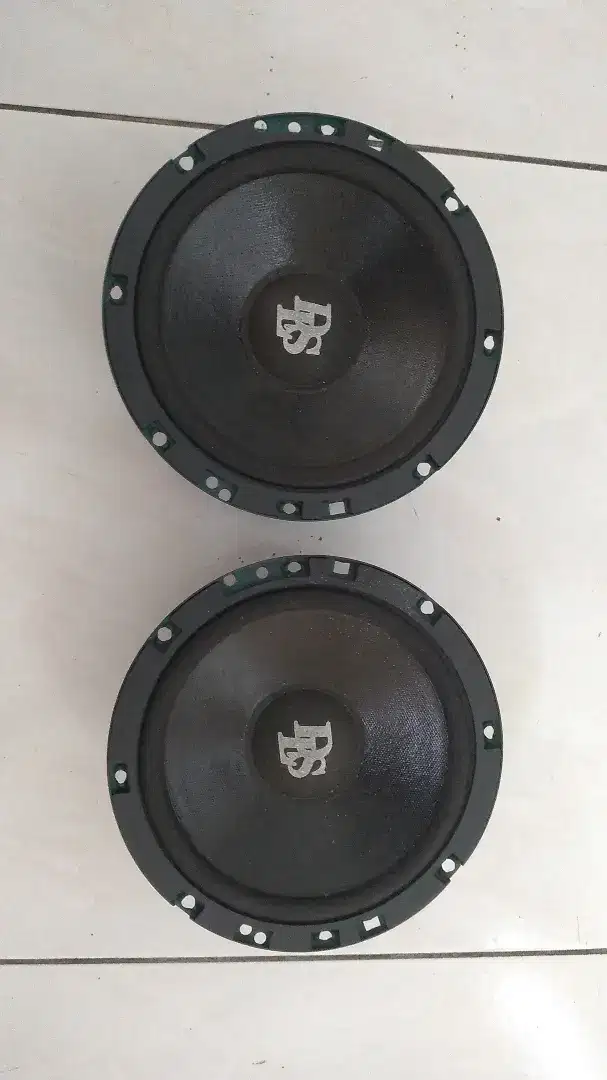 Speaker Midrange DLS - Sweden.