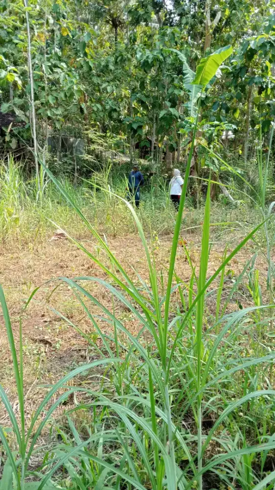 Jual tanah  di Panggang Gk