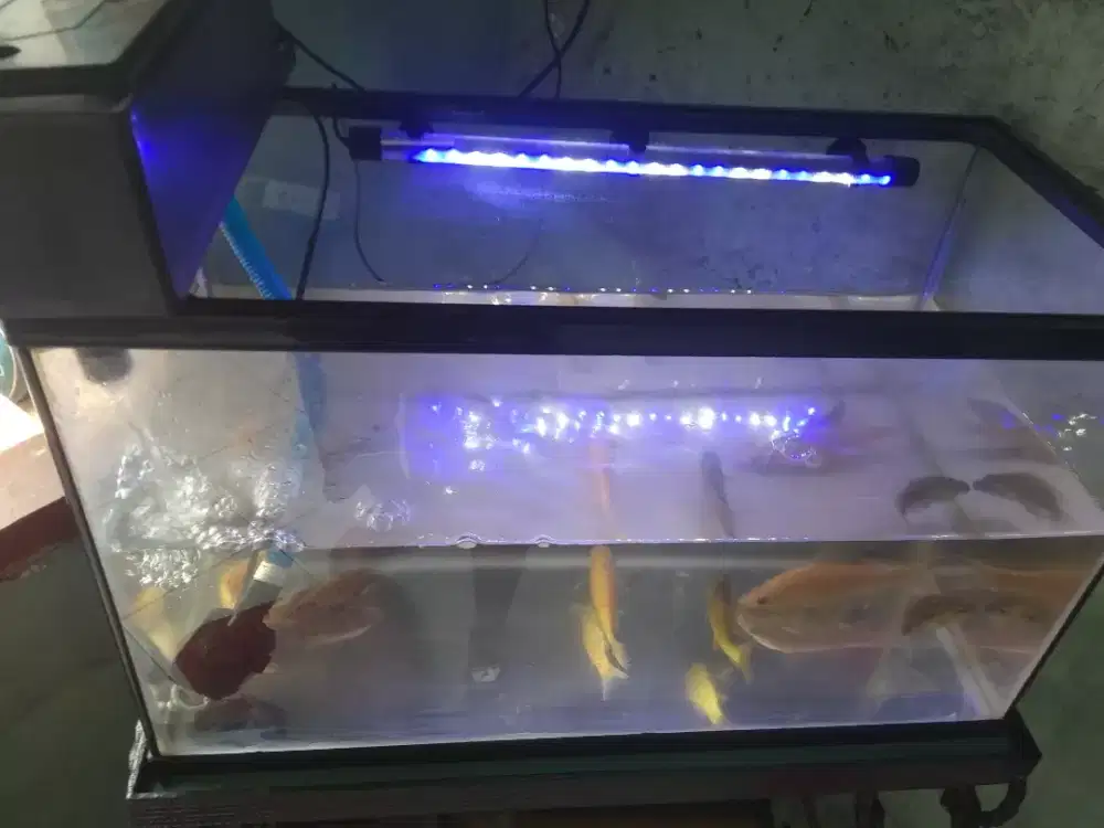 Akuarium fullset meja besi motif bunga