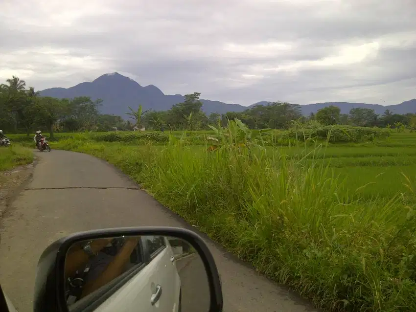 Dijual Lahan Subur View 2 Gunung