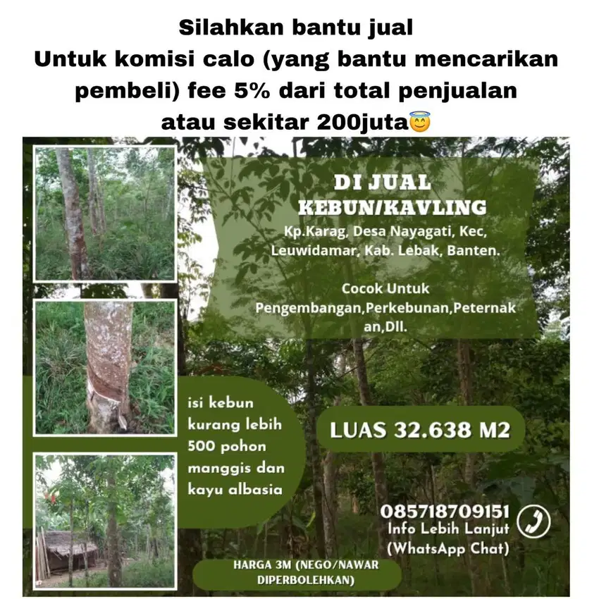 DIJUAL TANAH/ KEBUN MURAH,UNTUK PERKEBUNAAN, PETERNAKAN,PENGEMBANGAN