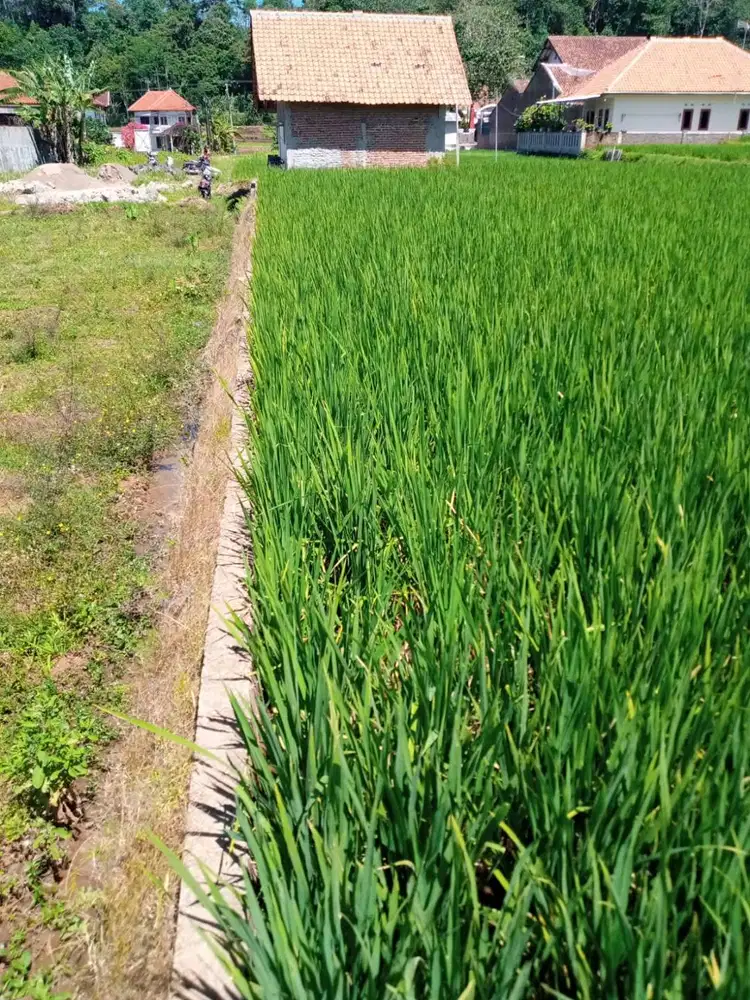 Jual Tanah dengan Lokasi Strategis di Cigugur Kabupaten Kuningan