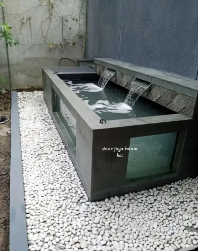 kolam minimalis ikan koi