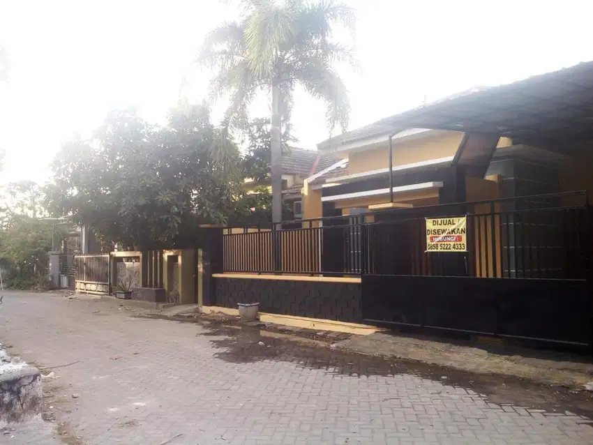 Rumah disewakan