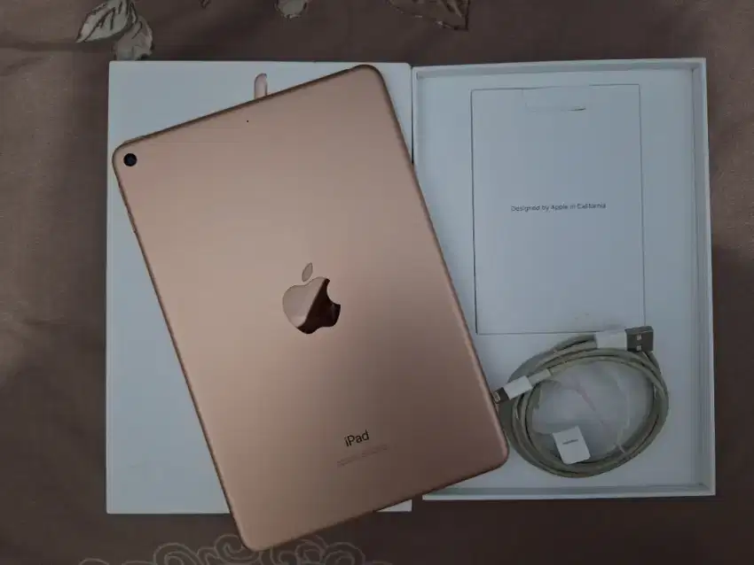 Ipad Mini 5 Rose Gold (Inter)