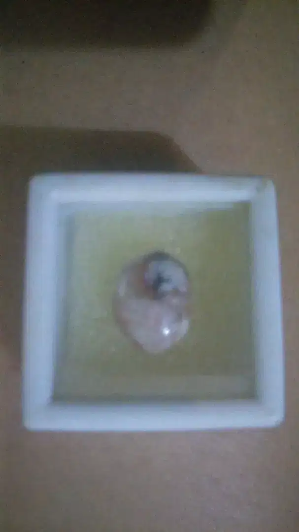 REAL SMALL RARE ROCK FOR YOUR COLLECTION