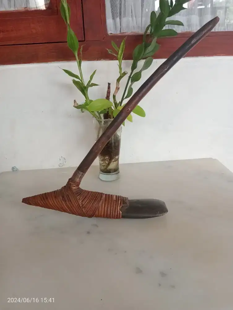 Batu kapak Papua asli anti