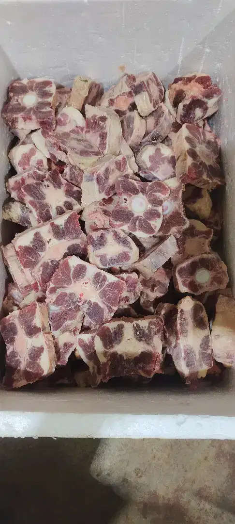 Buntut sapi / oxtail center cut