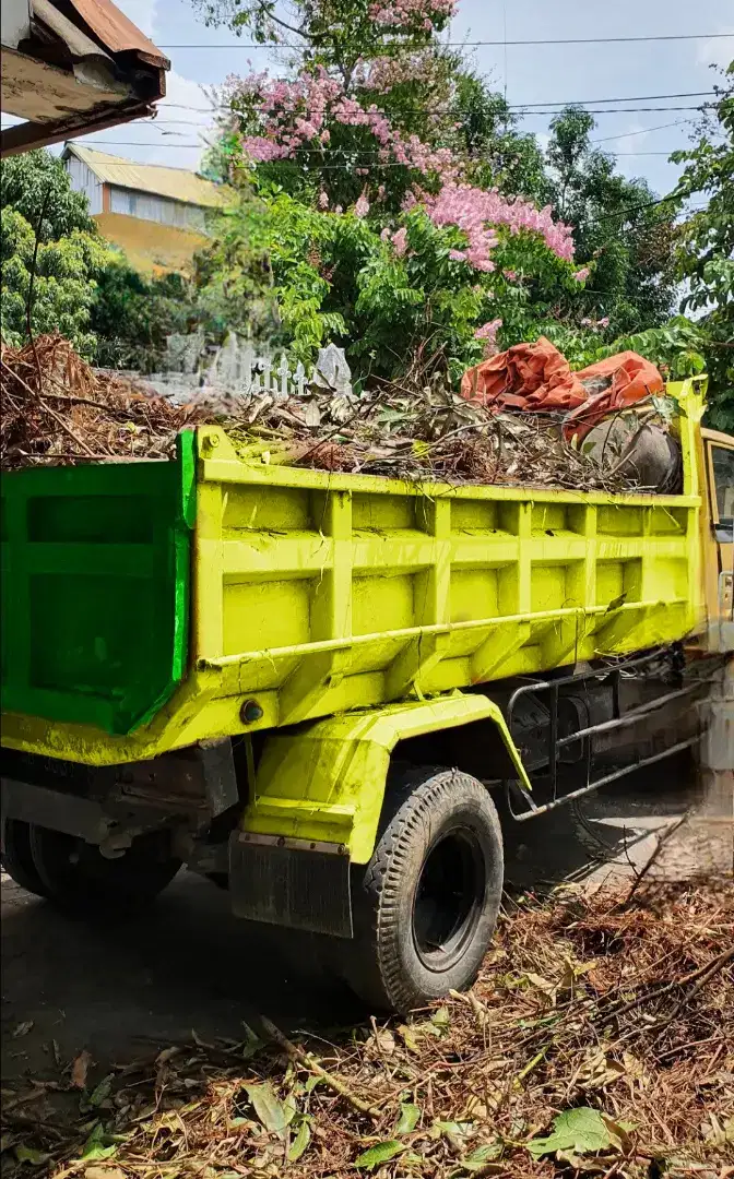Js sampah kering ranting pohon