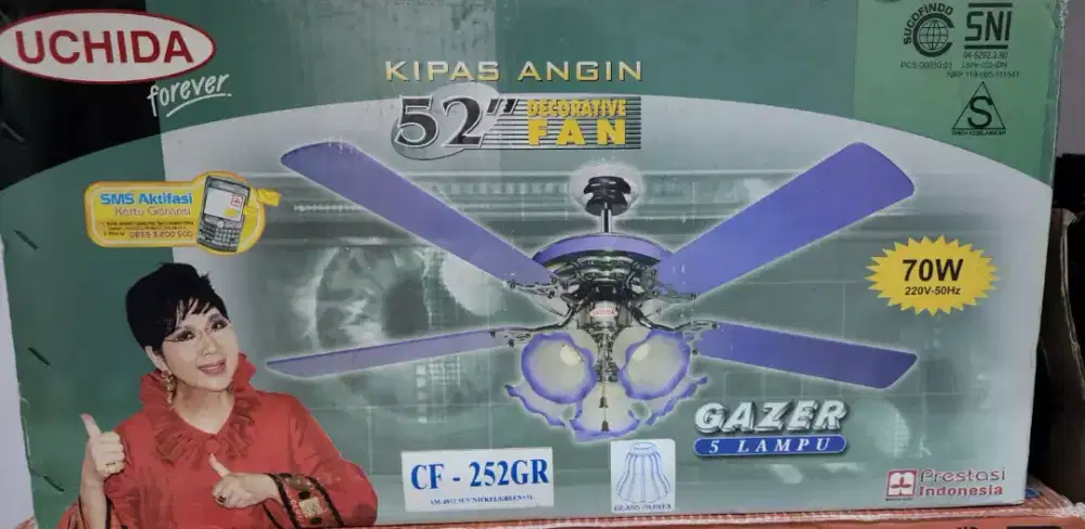 Decorative Fan Uchida