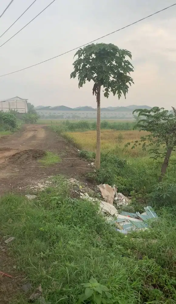 Dijual Tanah Luas Industri Raya Legundi Strategis