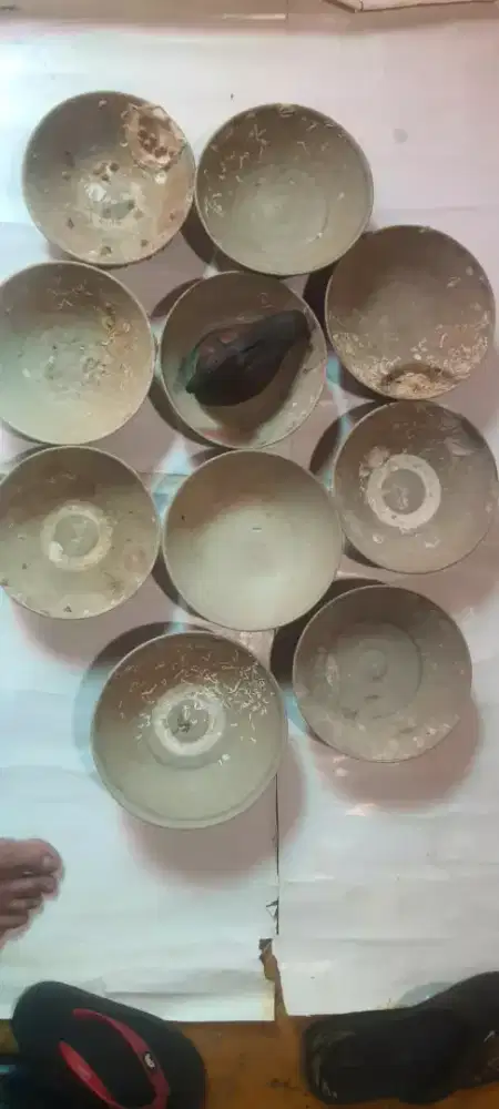 Barang Antik Koleksi Dinasti  pas Bunga + Piring