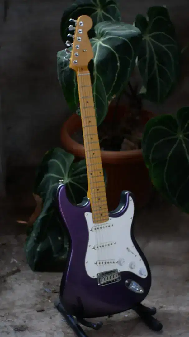 Guitar stratocaster custom shoop