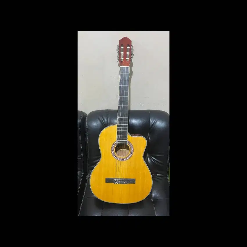 Chard EC3940C Acoustic Electric Natural in Yellow Natural with Fishman